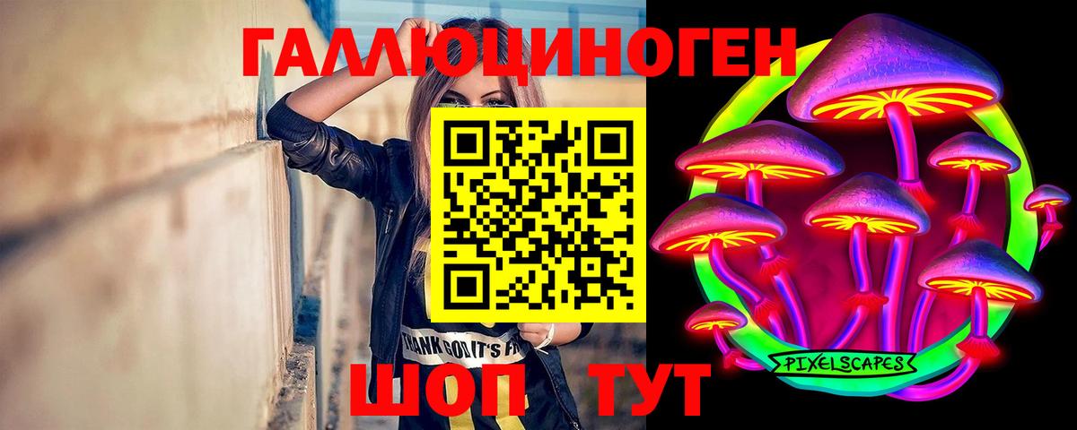 Псилоцибиновые грибы мухоморы Котлас
